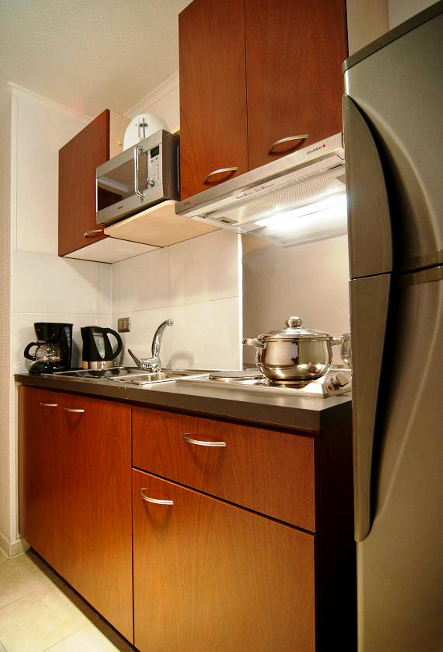 Park Plaza Apart Hotel 산티아고 객실 사진